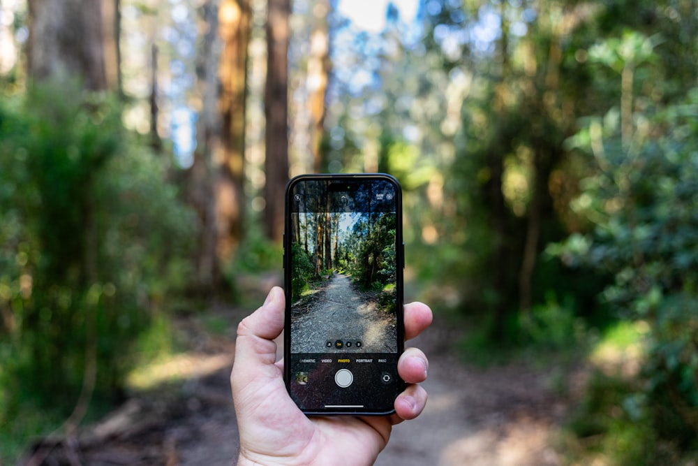 a person taking a picture of a road in the woods