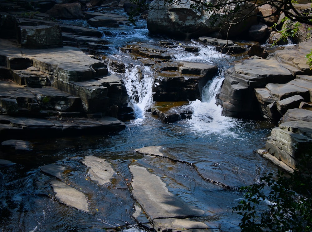 a stream of water running through a lush green forest