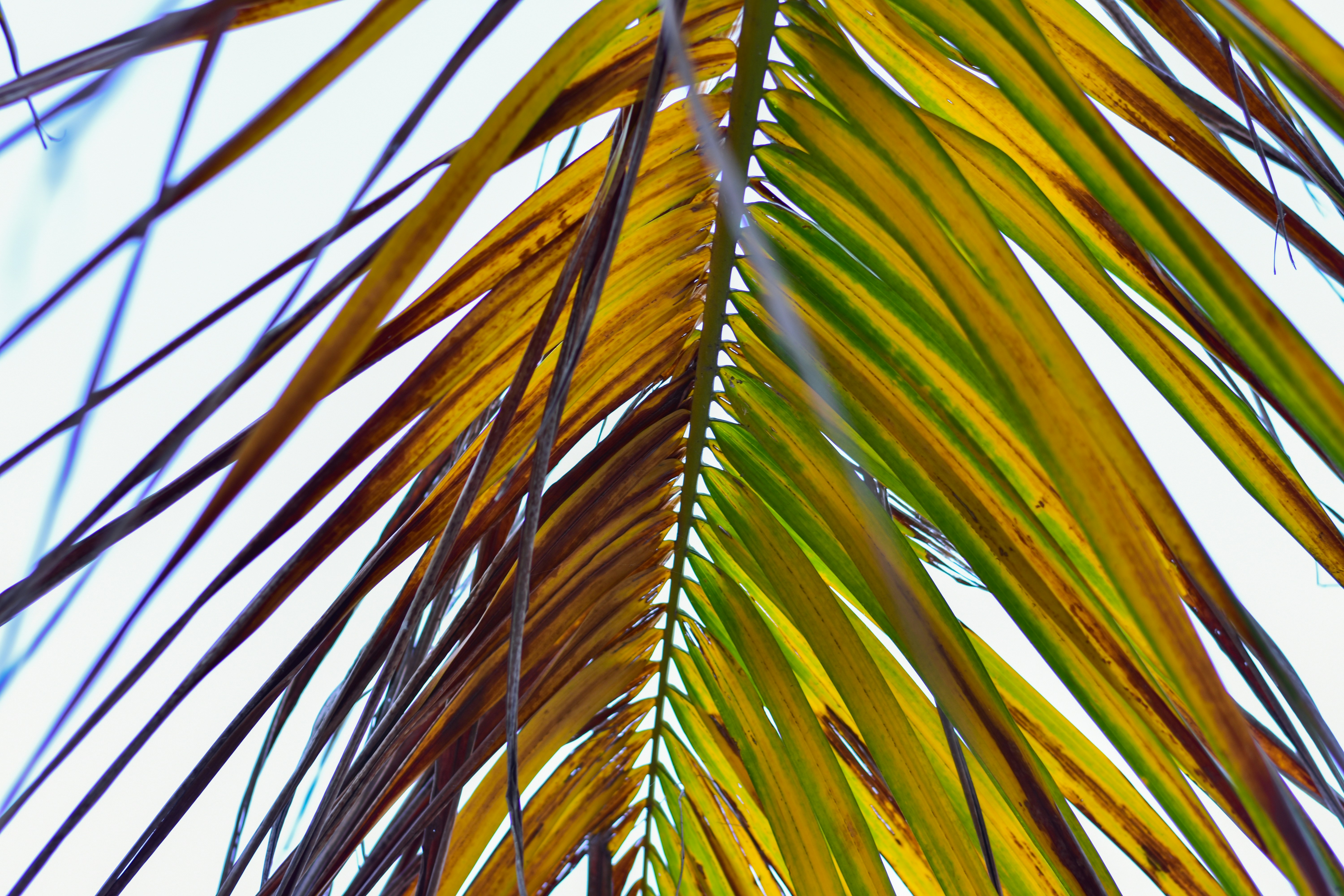 Photo by neelakshi_singh_