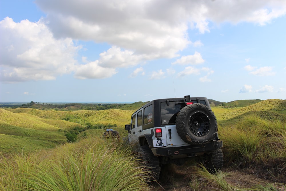 a jeep driving through a lush green field