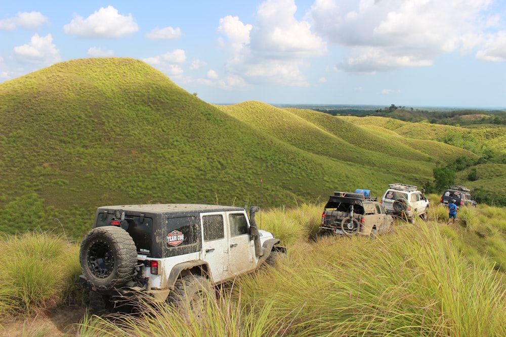 a couple of jeeps that are in the grass