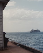 A person sits on a dock, fishing with a rod while a large cruise ship sails in the background over the calm ocean waters. The sky is partly cloudy, and the scene conveys a sense of tranquility and leisure.