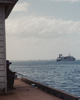 A person sits on a dock, fishing with a rod while a large cruise ship sails in the background over the calm ocean waters. The sky is partly cloudy, and the scene conveys a sense of tranquility and leisure.