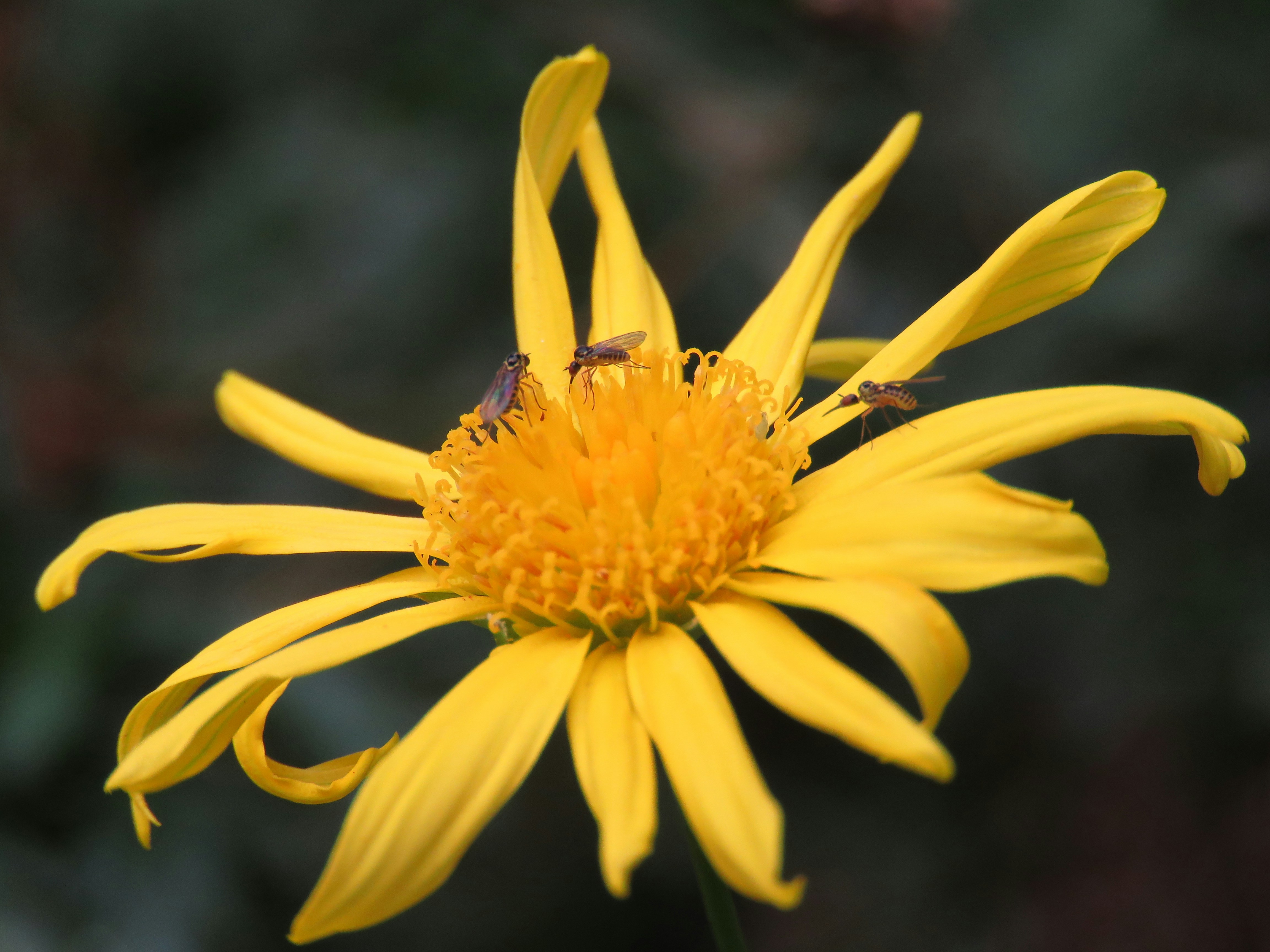 Photo by samuelmbiyaphotography