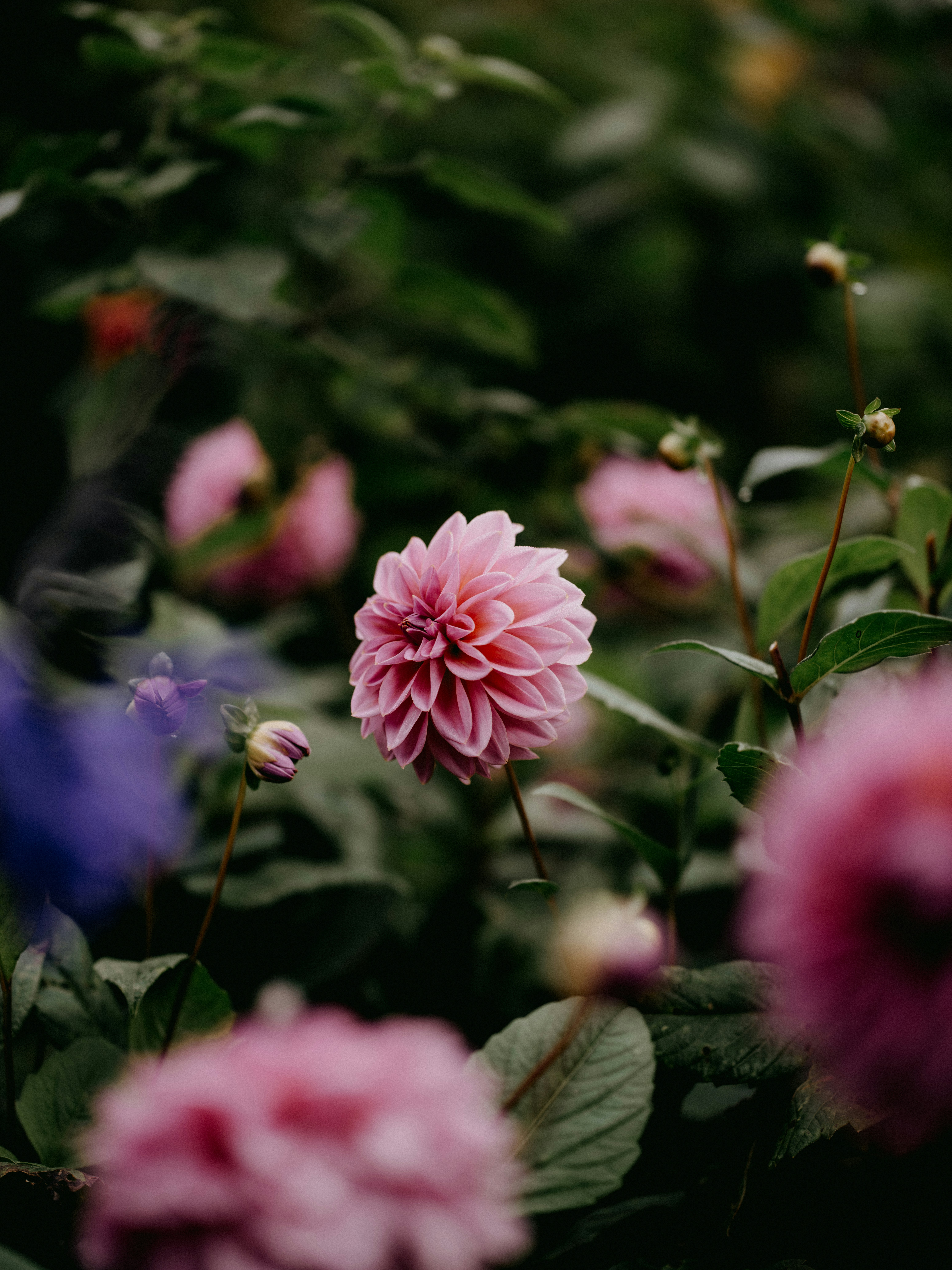 Photo by anniespratt