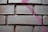 Rectangular bricks with a rough texture are arranged in a neat pattern. A streak of pink spray paint crosses over several bricks, adding a vibrant contrast to the muted color of the bricks.