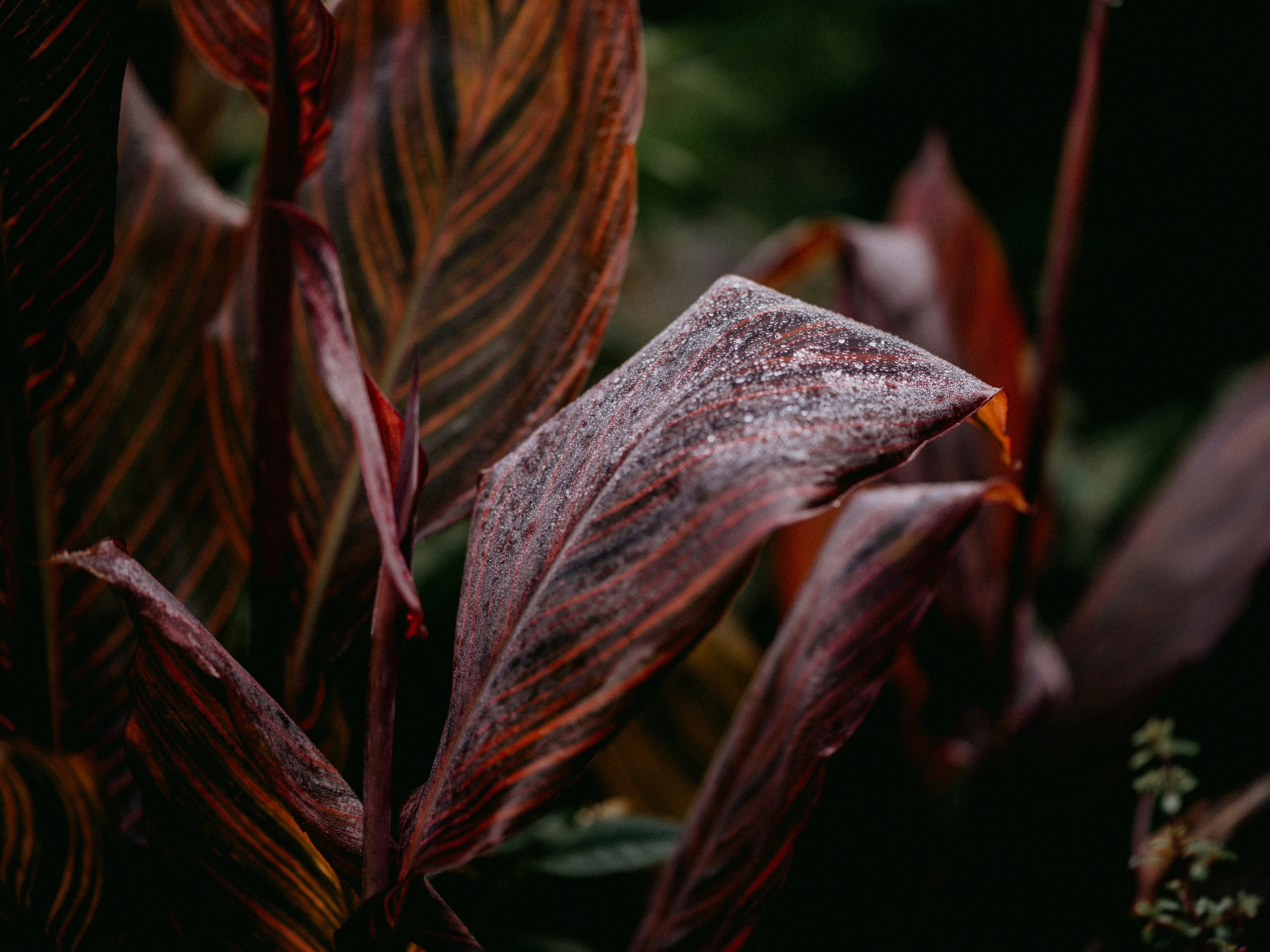 Photo by anniespratt