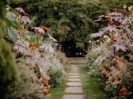 Pathway lined with vibrant plants leading to a serene meditation spot.