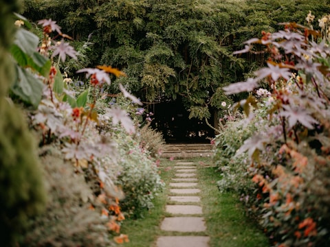 A serene garden path lined with vibrant plants.