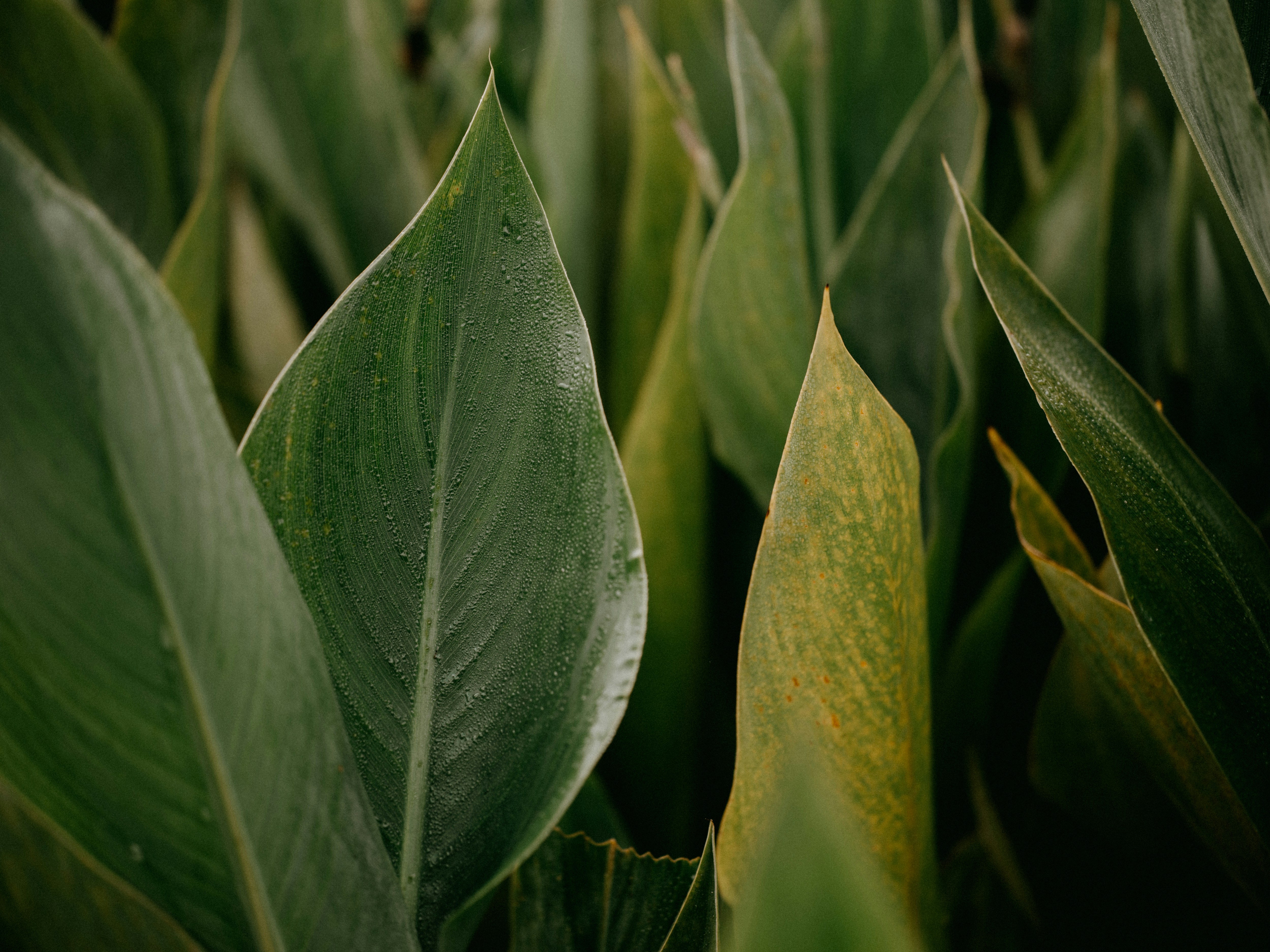 Photo by anniespratt