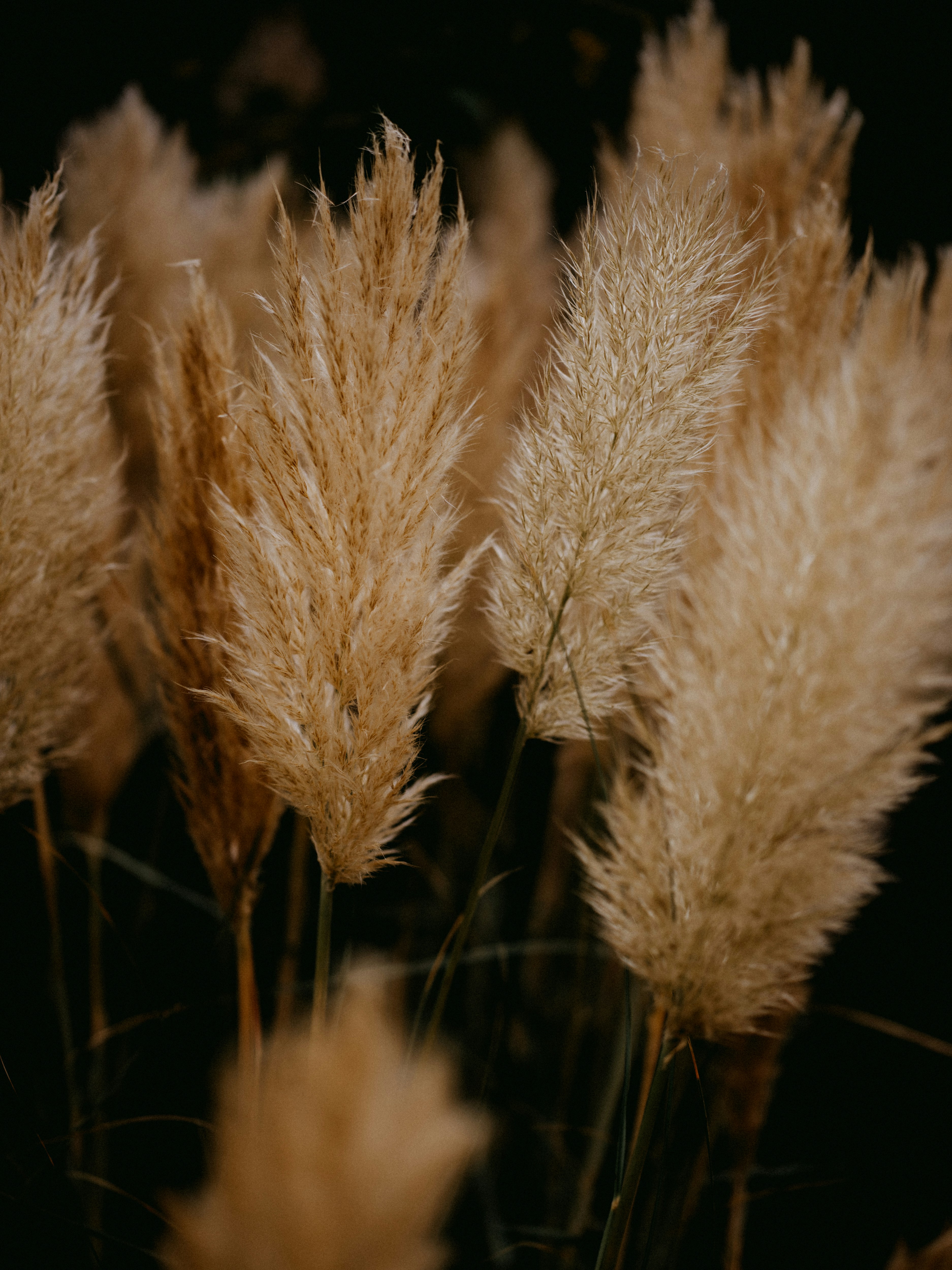 Photo by anniespratt