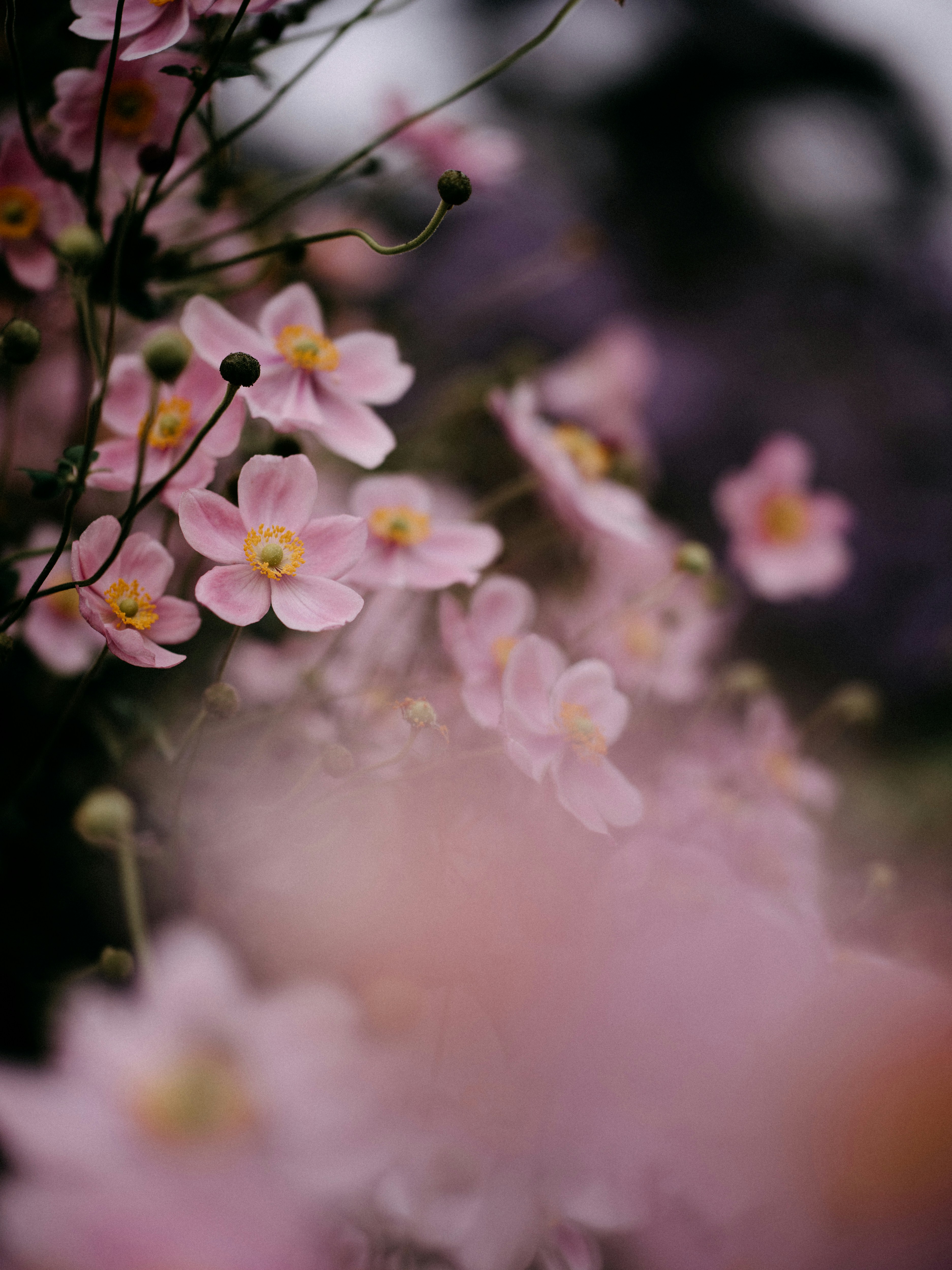 Photo by anniespratt