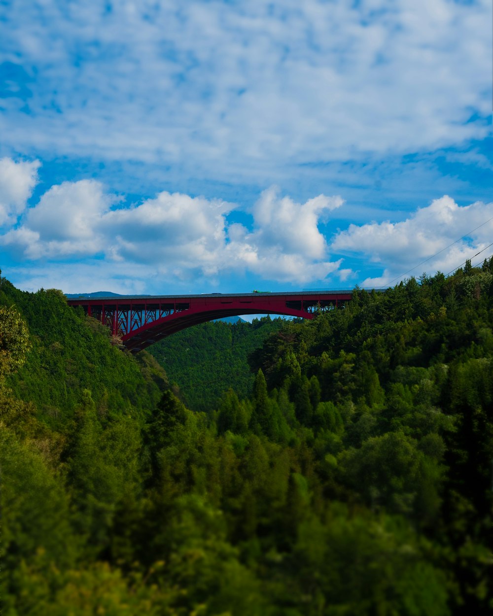 a red bridge over a lush green forest under a blue sky