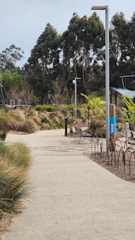A paved pathway winds through a landscaped park area, flanked by long grasses and a variety of young trees. Tall trees form a green backdrop. Several street lamps line the path, and a blue sign is attached to one pole. Metal benches and bicycle racks are visible along the path.