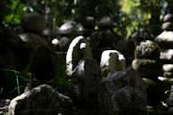 A quiet corner of the monument site where moss grows thick on stone benches under tall trees.