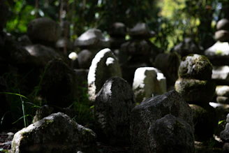 A quiet corner of the monument site where moss grows thick on stone benches under tall trees.