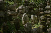 A circle of stones nestled in moss, marking a sacred ritual space deep in the woods.