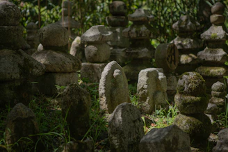 A circle of stones nestled in moss, marking a sacred ritual space deep in the woods.