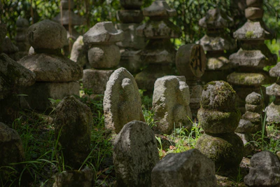 Before and after side-by-side of a moss-covered grave transformed by gentle cleaning.