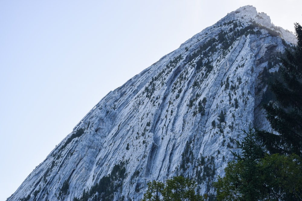 ein sehr hoher, schneebedeckter Berg mit Bäumen