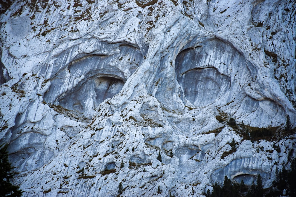 a close up of a rock face with trees in the background