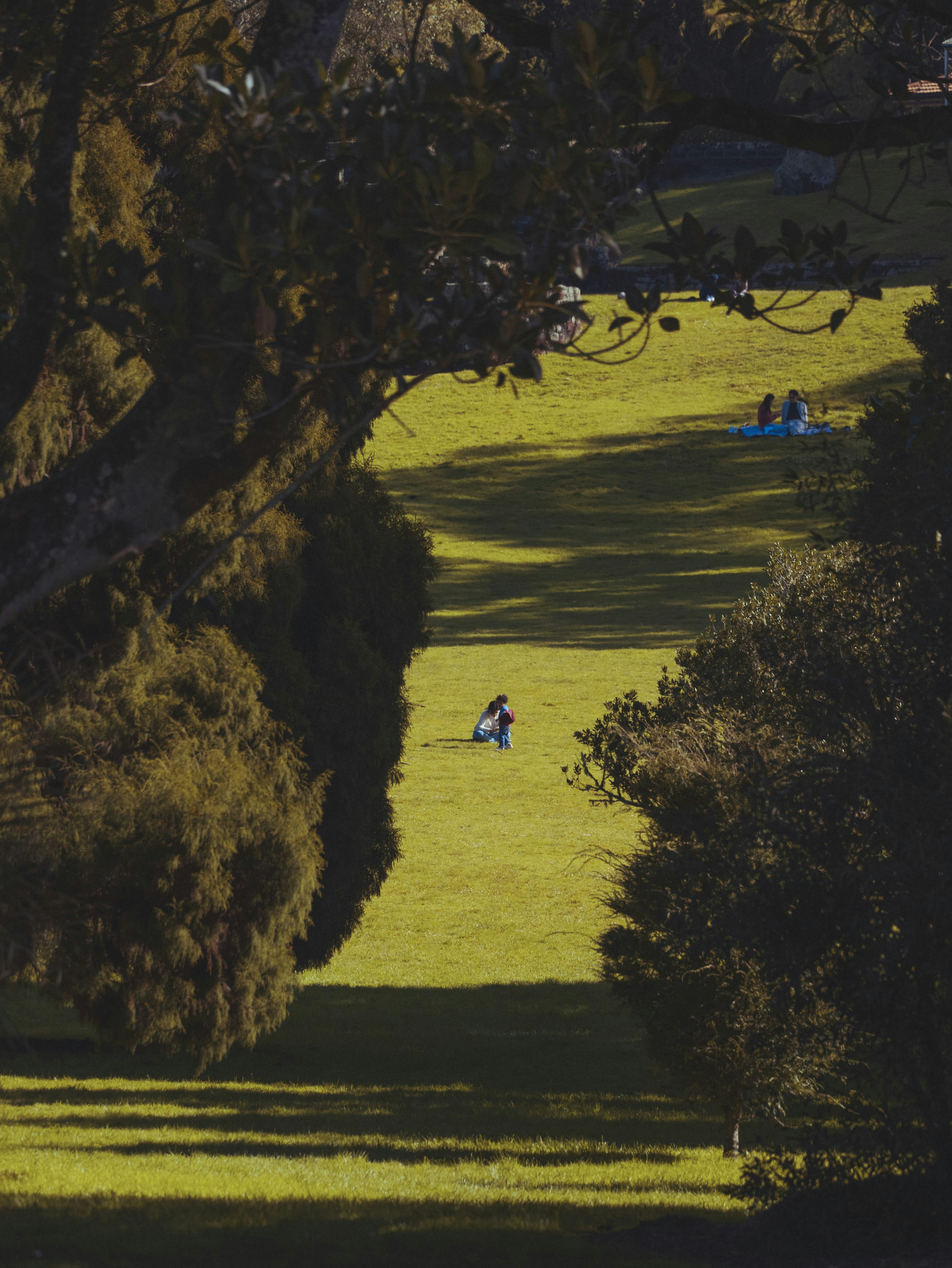A couple of people sitting on top of a lush green field photo – Free ...