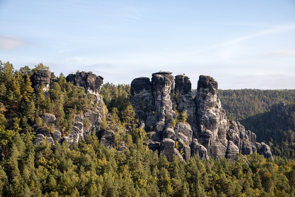 a group of rocks in the middle of a forest