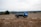 A blue dump truck is parked in an open, plowed field. The background features rolling hills and a line of trees under a cloudy sky. The earth in the foreground is disturbed, with mounds and trenches of dirt visible.