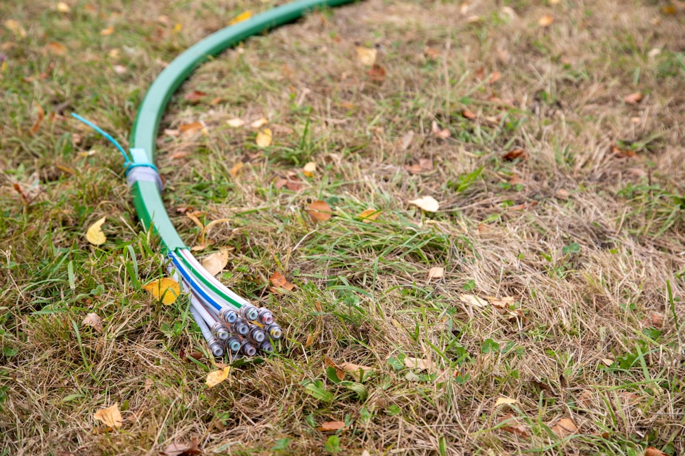 a green hose laying on top of a grass covered field