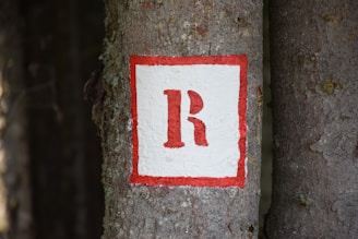 A tree trunk features a painted square with a red border. Inside the square, a red letter 'R' is displayed against a white background. The tree bark is textured and has a natural grayish-brown color.