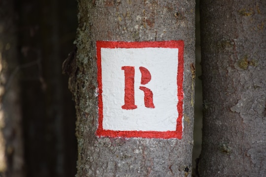 A tree trunk features a painted square with a red border. Inside the square, a red letter 'R' is displayed against a white background. The tree bark is textured and has a natural grayish-brown color.