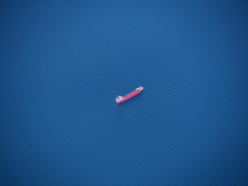 a pink toothbrush floating on a blue surface