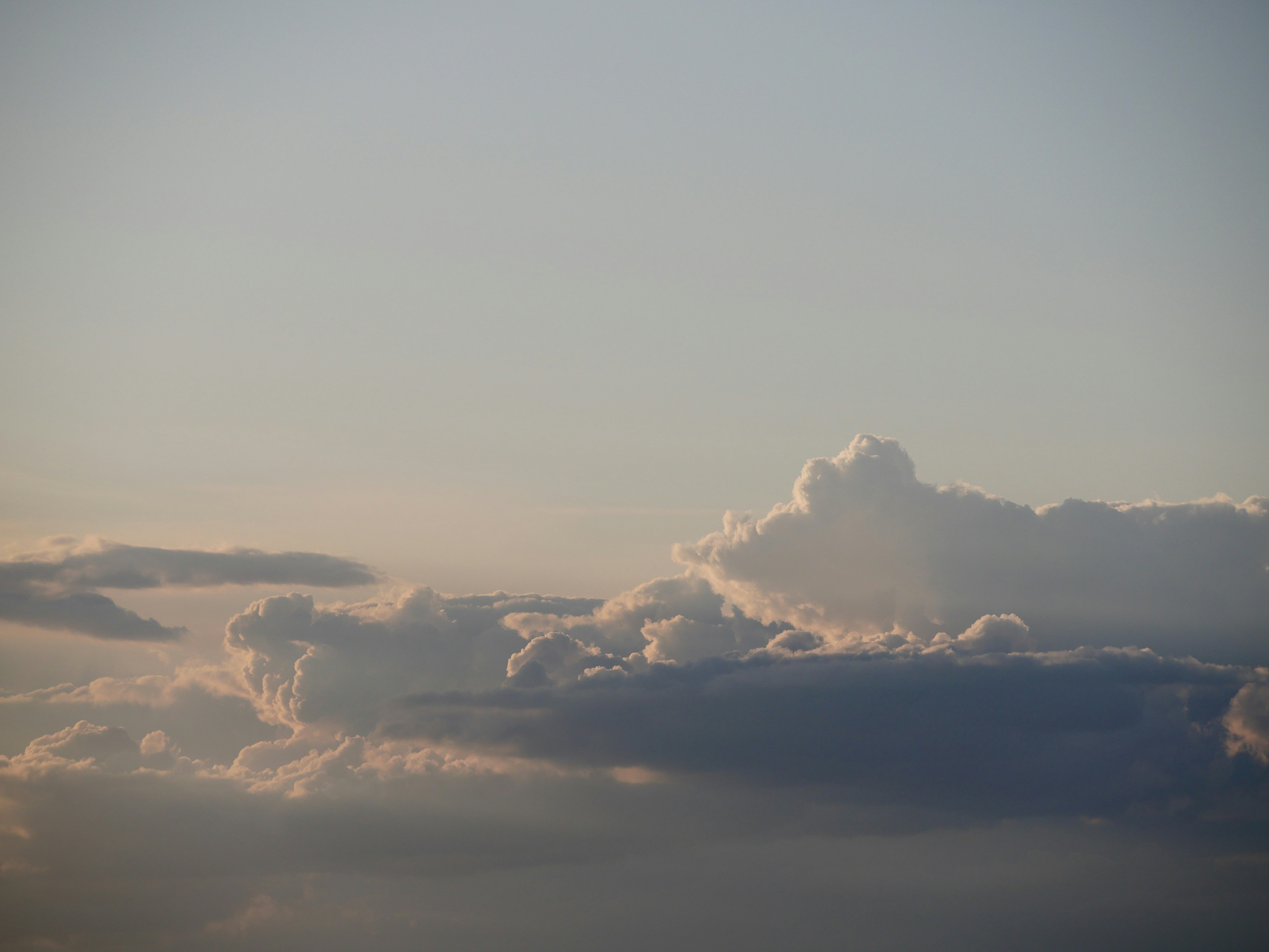 Photo by nimbus_vulpis