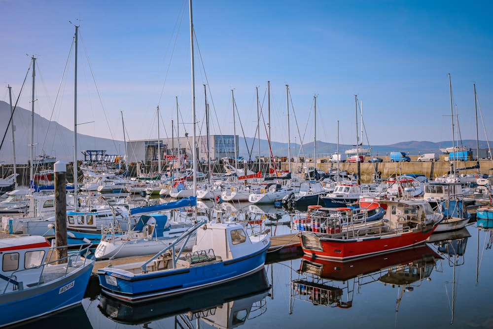 a harbor filled with lots of small boats