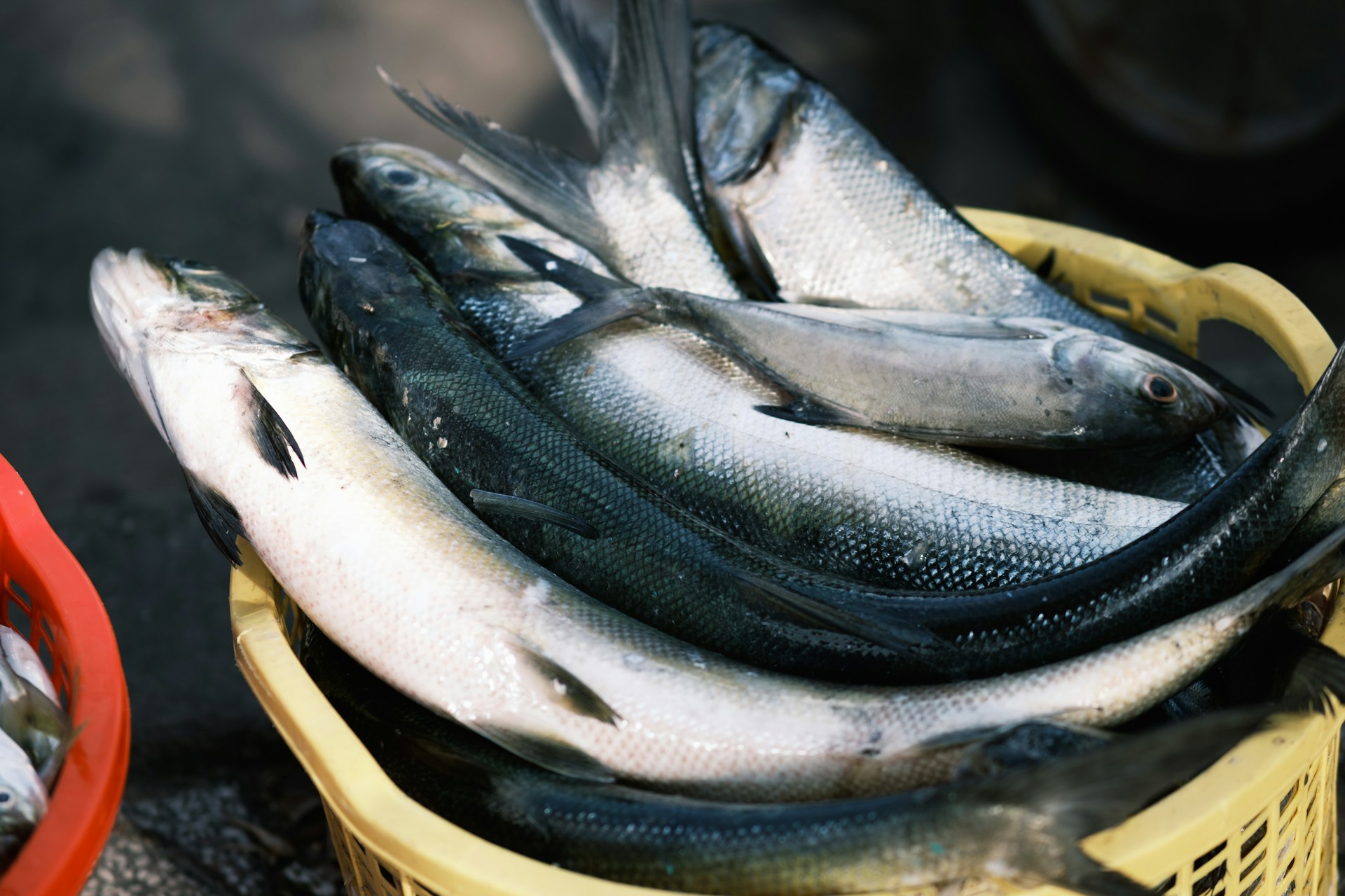 woman wearing yellow long-sleeved dress under white clouds and blue sky during daytime