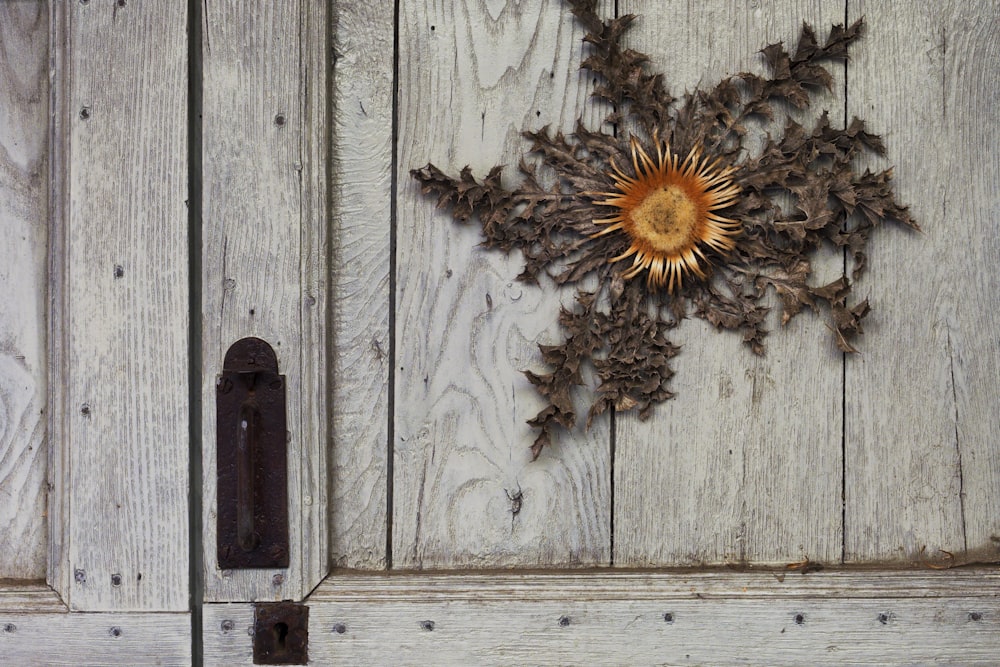 a wooden door with a metal star decoration on it
