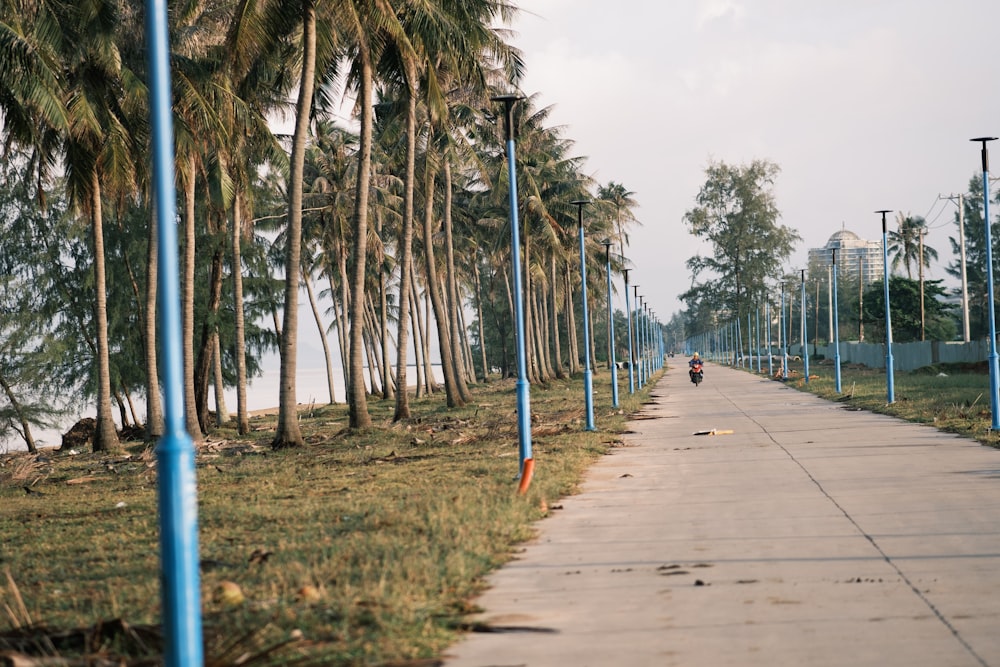 a man riding a motorcycle down a sidewalk next to palm trees