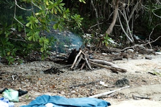 Abandoned campsite with flickering lanterns and scattered gear.