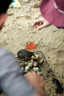 On a sandy surface, hands are interacting with a small cup containing a red liquid and small seashells. Nearby, there is a metal grill with various types of seashells and what appears to be a charred shellfish. The setting suggests a beach environment.