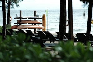 A serene beach scene with a line of empty lounge chairs facing the sea. Multiple kayaks are stacked on a rack beside a sign that reads 'surf rescue'. The scene is framed by trees and foliage, with gentle waves lapping at the shore.