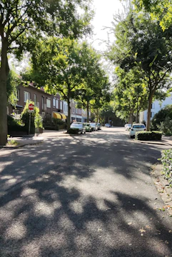 A quiet suburban neighborhood with tree-lined streets.