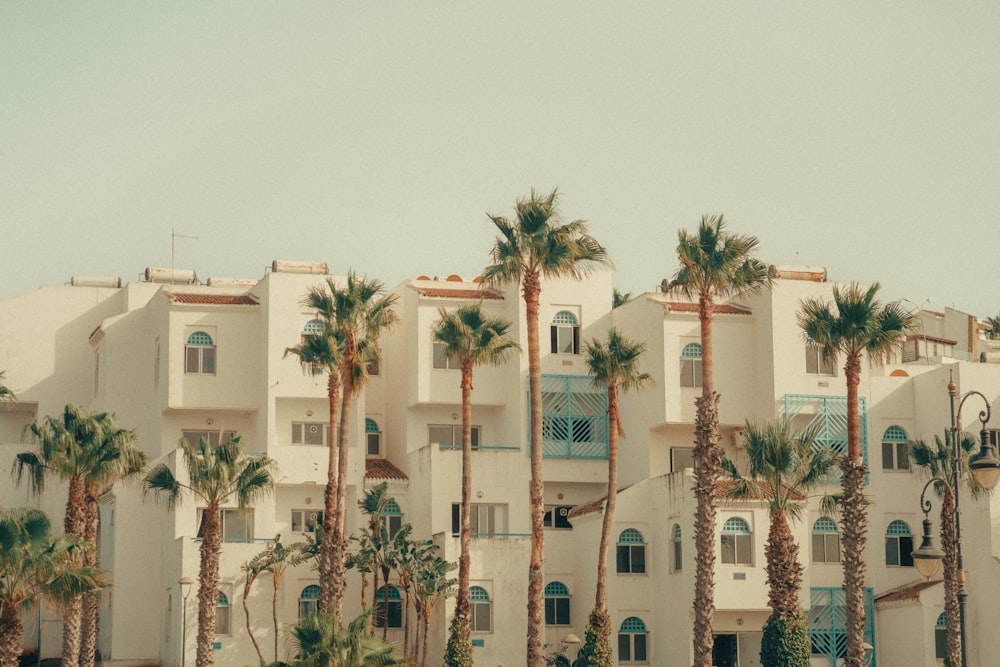 a building with palm trees in front of it