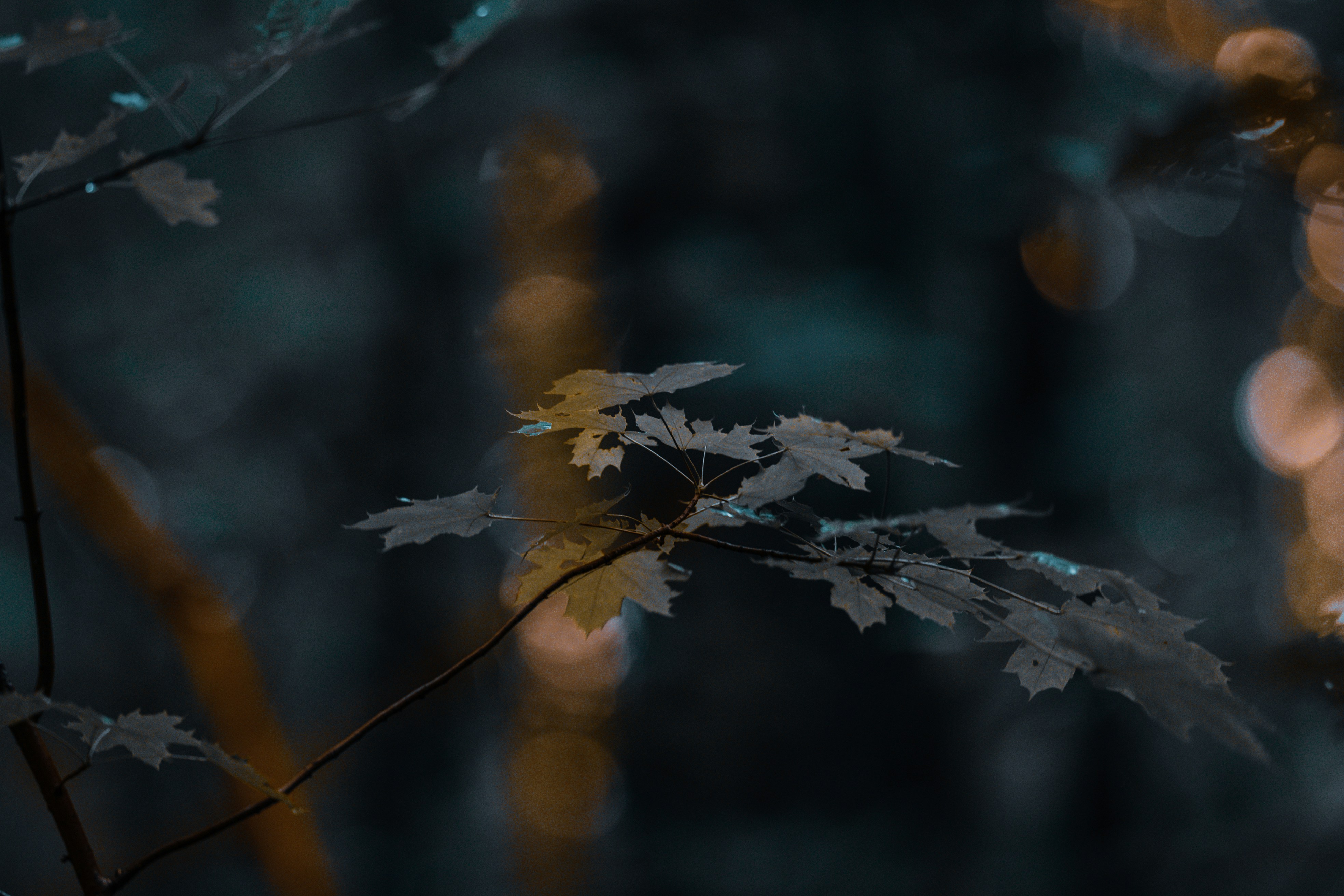 Photo by omarvellous14