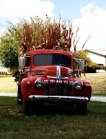 A classic red truck is parked on a grassy area with tall, dried cornstalks loaded in its bed. The truck features a vintage design with a prominent grille and round headlights. In the background, there are trees and a white barn-like structure, and the sky is partly cloudy.