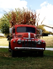 A classic red truck is parked on a grassy area with tall, dried cornstalks loaded in its bed. The truck features a vintage design with a prominent grille and round headlights. In the background, there are trees and a white barn-like structure, and the sky is partly cloudy.