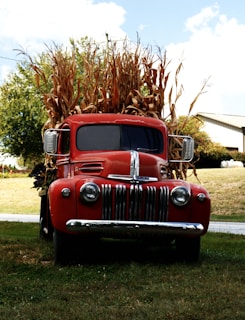 A classic red truck is parked on a grassy area with tall, dried cornstalks loaded in its bed. The truck features a vintage design with a prominent grille and round headlights. In the background, there are trees and a white barn-like structure, and the sky is partly cloudy.