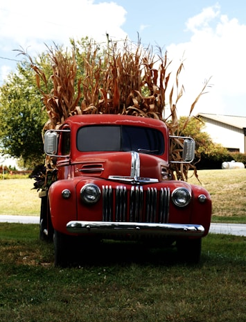 A vintage red farm truck parked beside a rustic barn surrounded by potato fields.