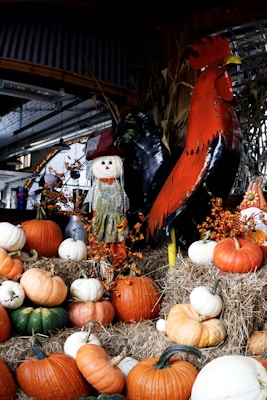 A display of autumn harvest decorations featuring various pumpkins in shades of orange, white, and green arranged on straw bales. There's a decorative scarecrow with a hat and a large, colorful metal rooster. Small orange berries add to the seasonal theme.