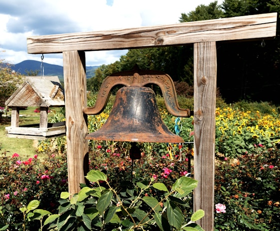 A beautiful garden setup with bellview outdoor items.