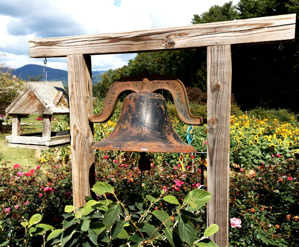 A sunlit garden corner featuring a metal trellis with climbing roses, a rustic wooden planter box, and a softly chiming wind chime.